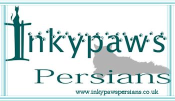 Inkypaws Persians