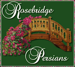 Rosebridge Persians