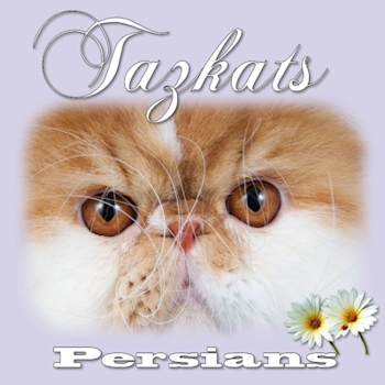 Tazkats Persians